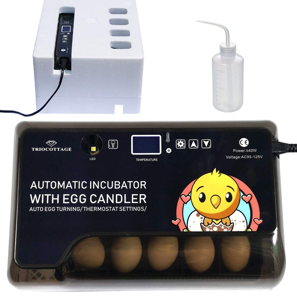 Egg Incubator, Small Automatic Incubator with Digital Temperature Humidity C736