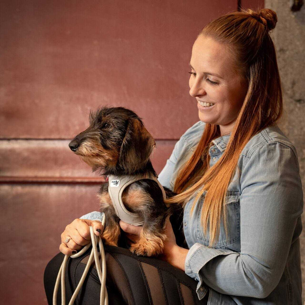 Air-Mesh Vest Dog Harness V816