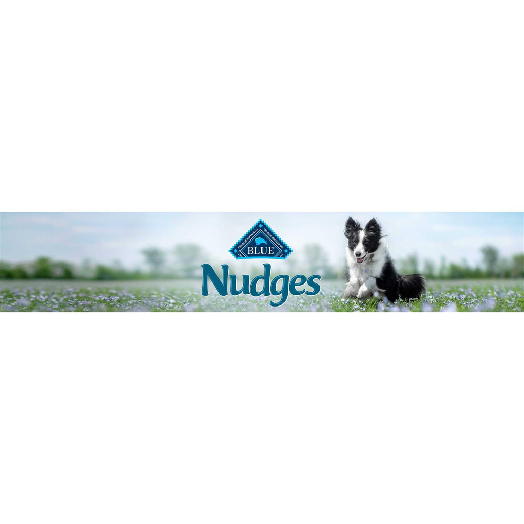 Chicken Natural Dog Treats R96330