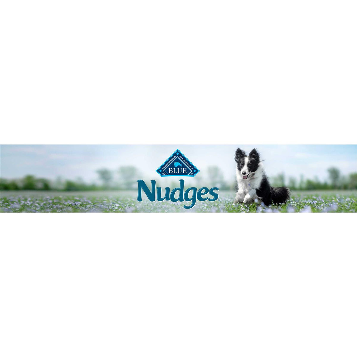 Chicken Natural Dog Treats R96330