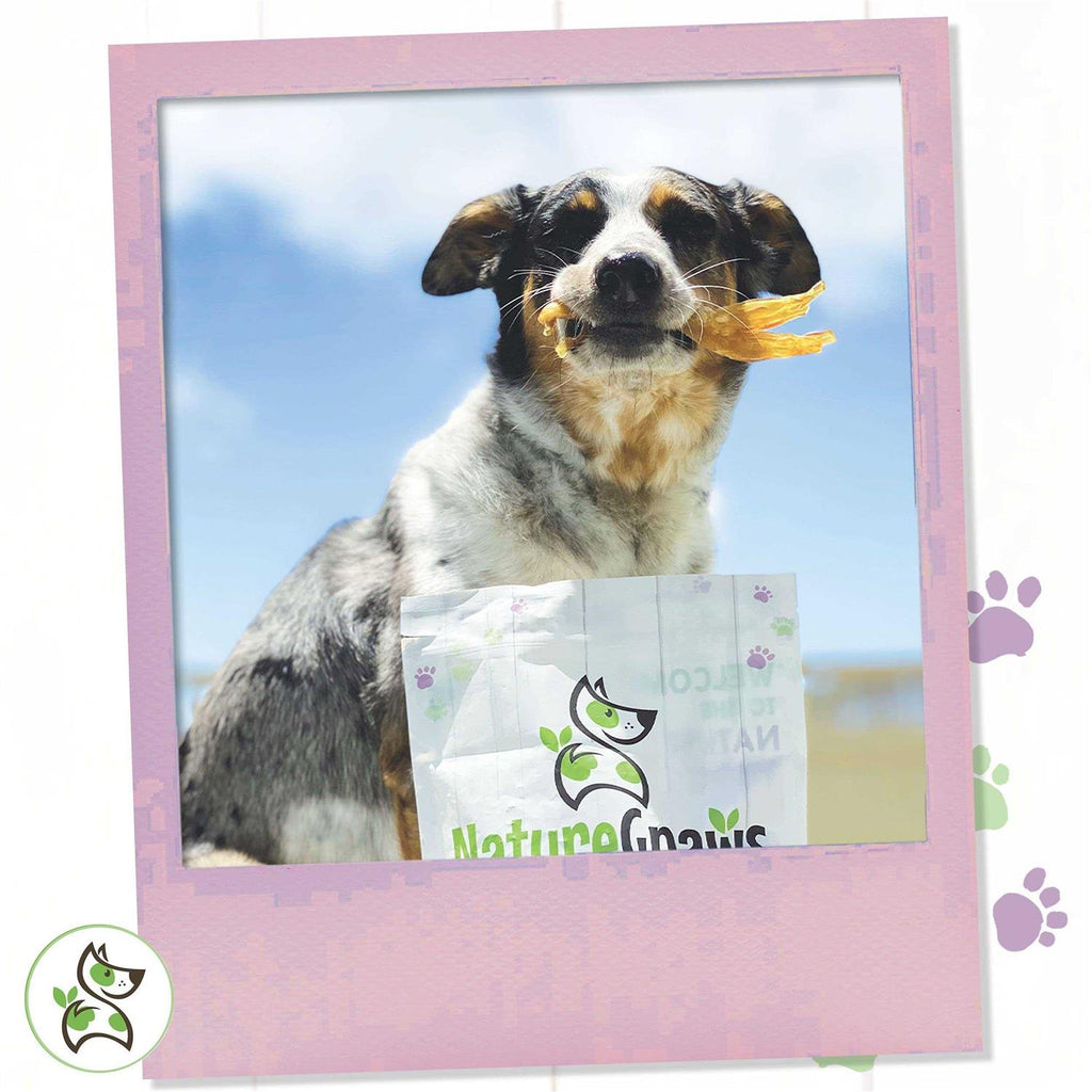Beef Tendon Dog Chews Y600718