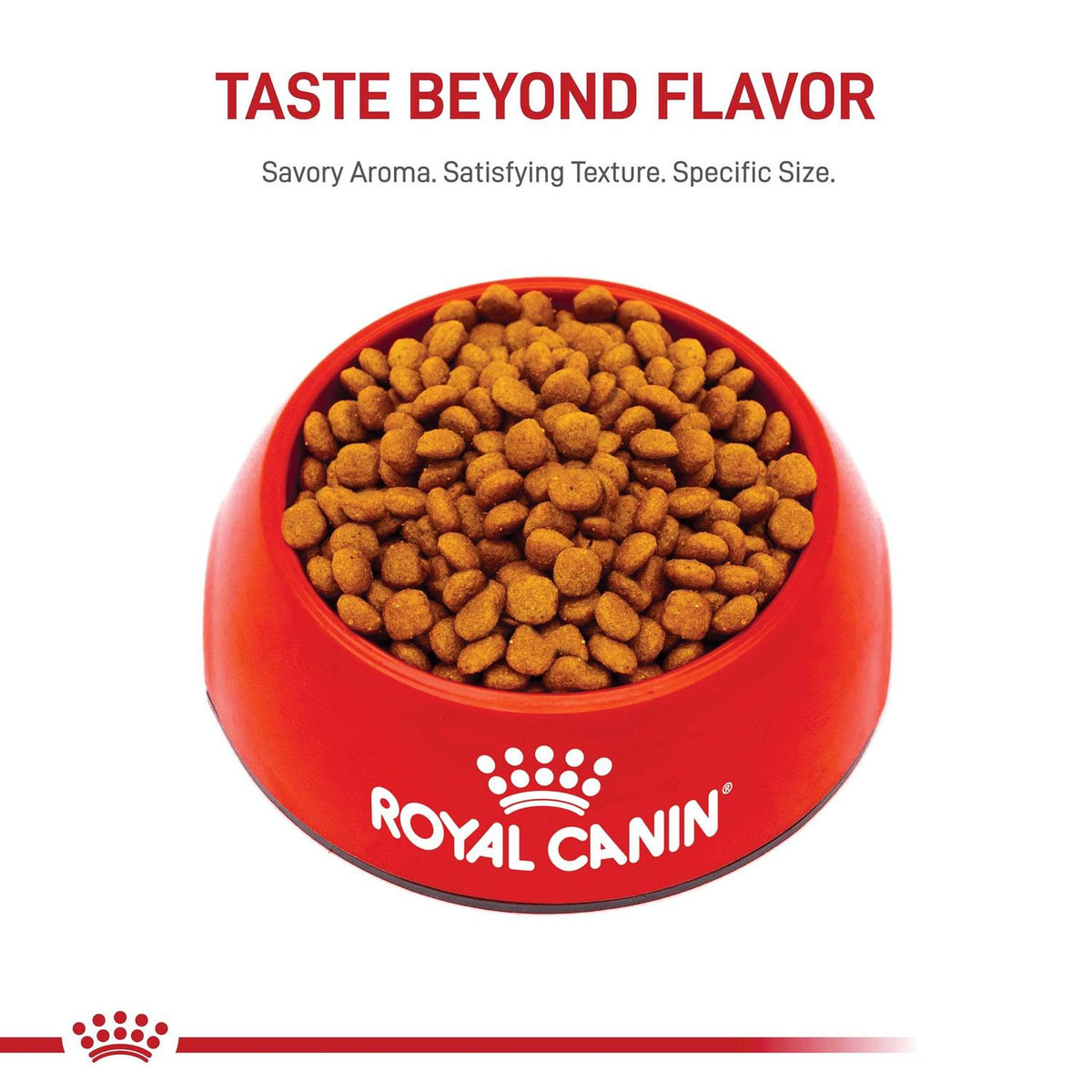 Miniature Schnauzer Puppy Dry Dog Food P7713