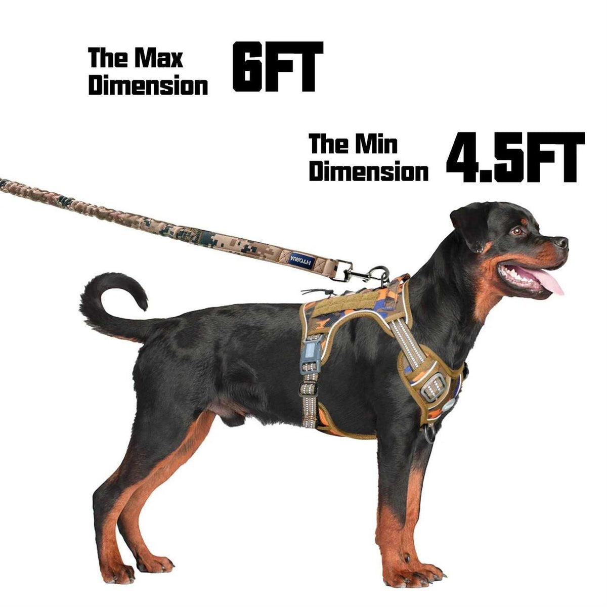 Heavy Duty Bungee Dog Leash S469