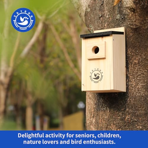 2 Pack Bird Houses D642