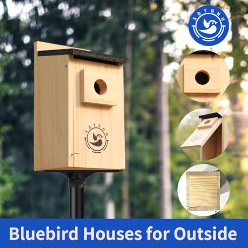 2 Pack Bird Houses D642