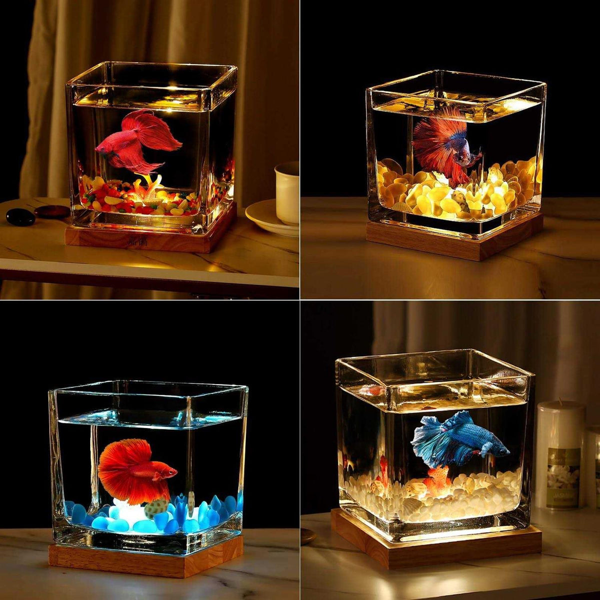 0.81 Gallon Glass Fish Tank Kit J352
