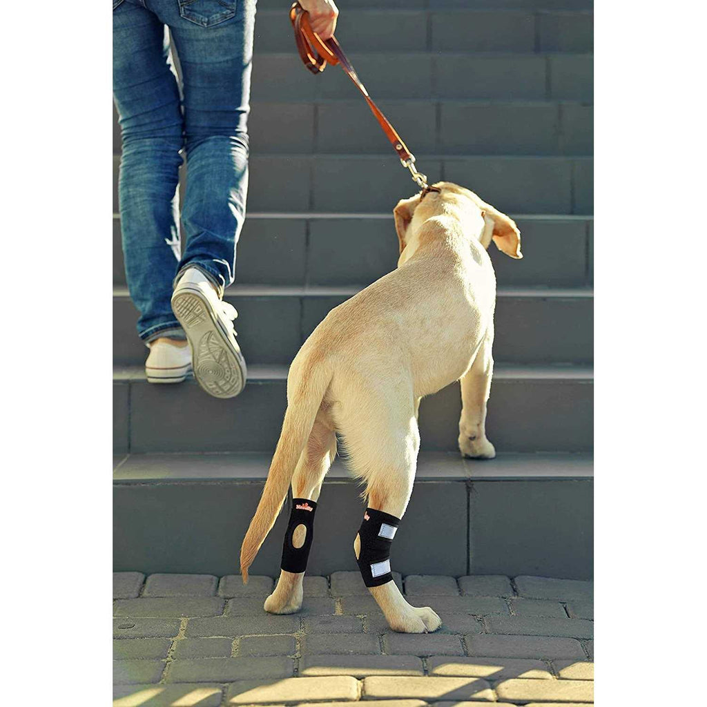 Dog Rear Leg Hock Ankle Support with Reflective Straps E140384