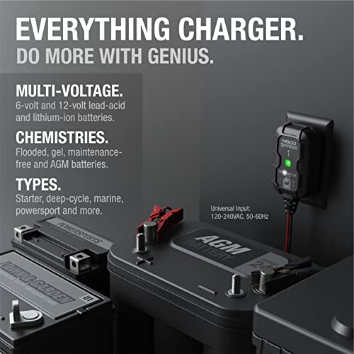 1A 6V and 12V Smart Car Battery Charger E445