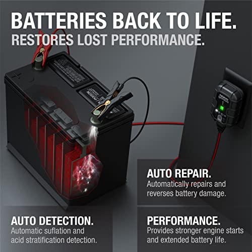 1A 6V and 12V Smart Car Battery Charger E445