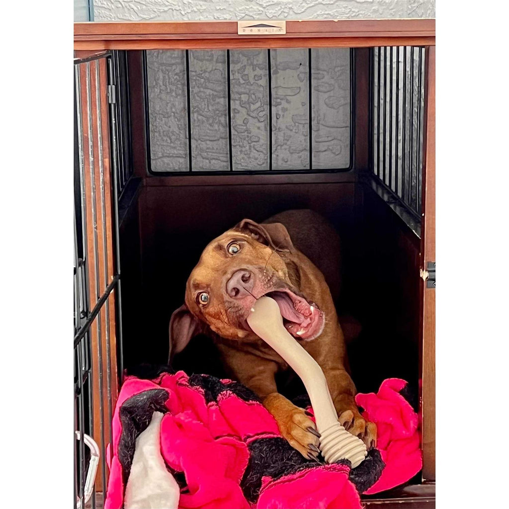 Tough Dog Chew Beef L78854