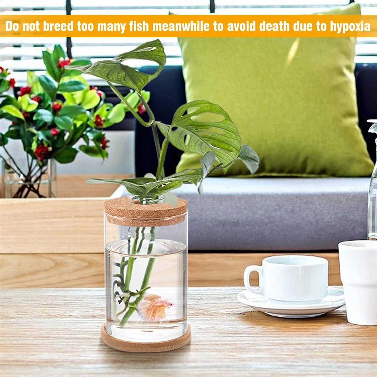 Clear Glass Betta Fish Tank T892