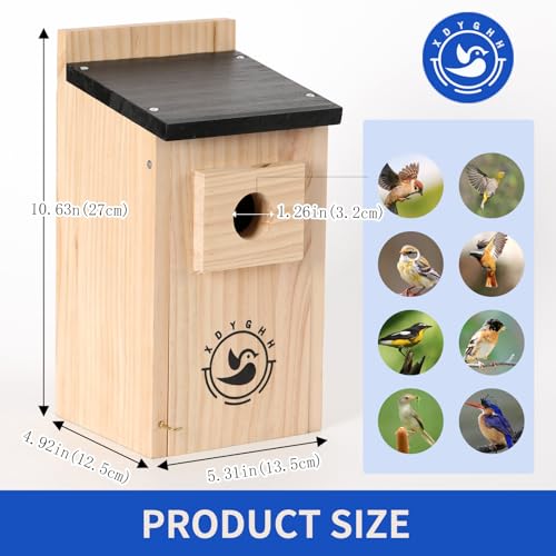 2 Pack Bird Houses D642