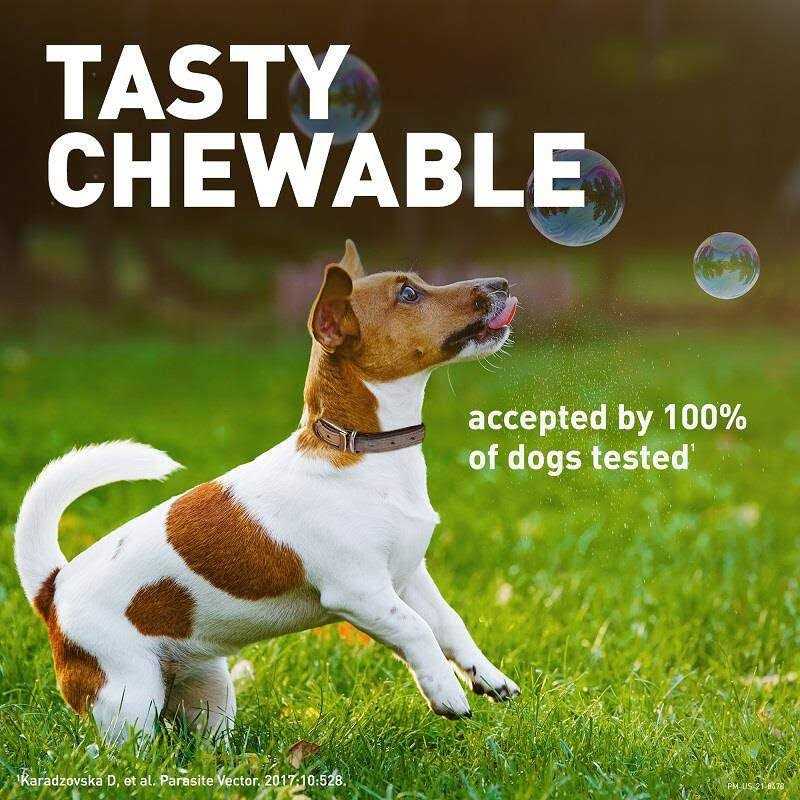 Chewable Tablet for Dogs 50.1-100 lbs S87533