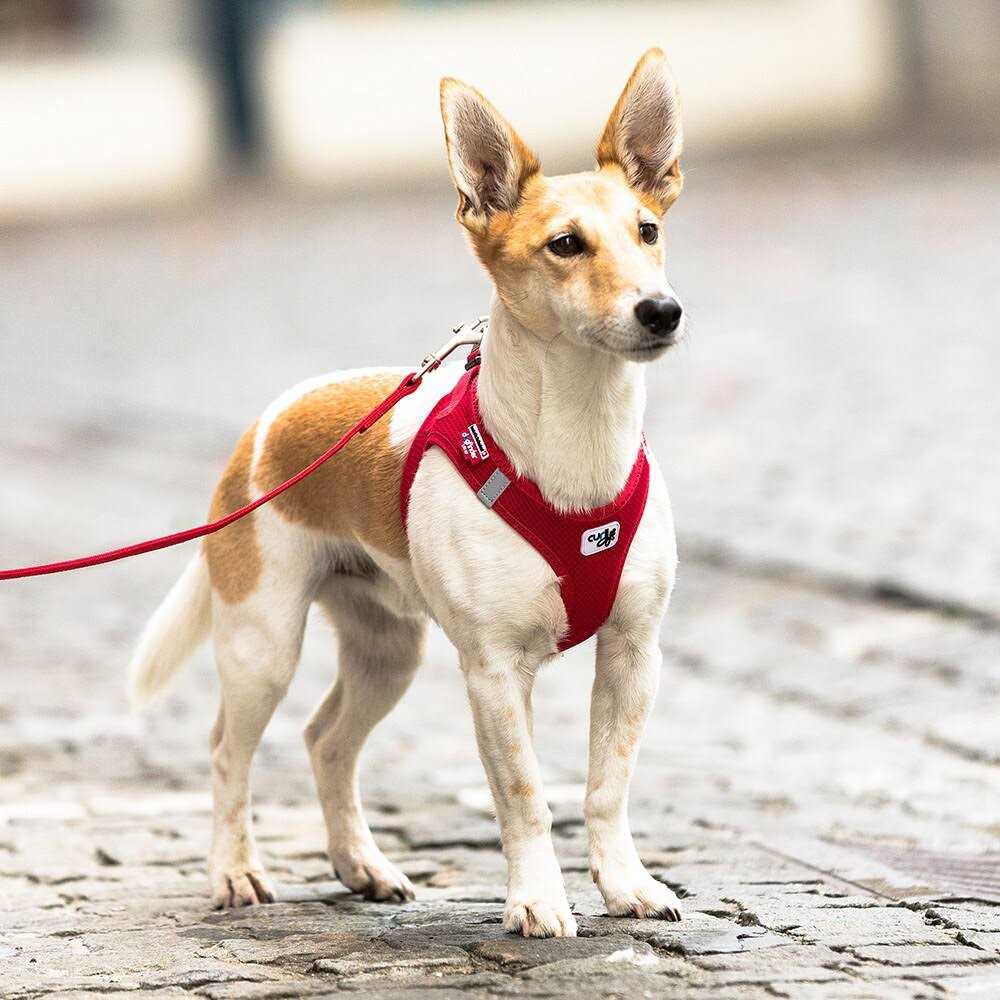 Air-Mesh Vest Dog Harness V816