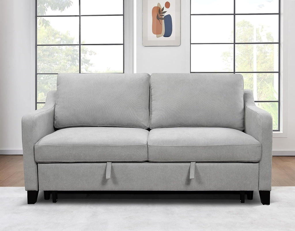 Light Gray Queen Sleeper Sofa Bed with Pullout Bed M245014