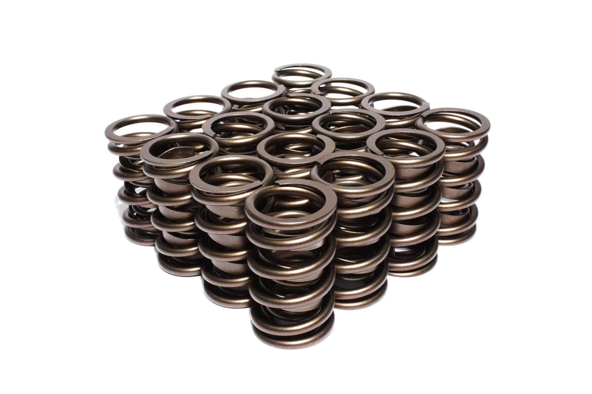 Dual Valve Springs W730543