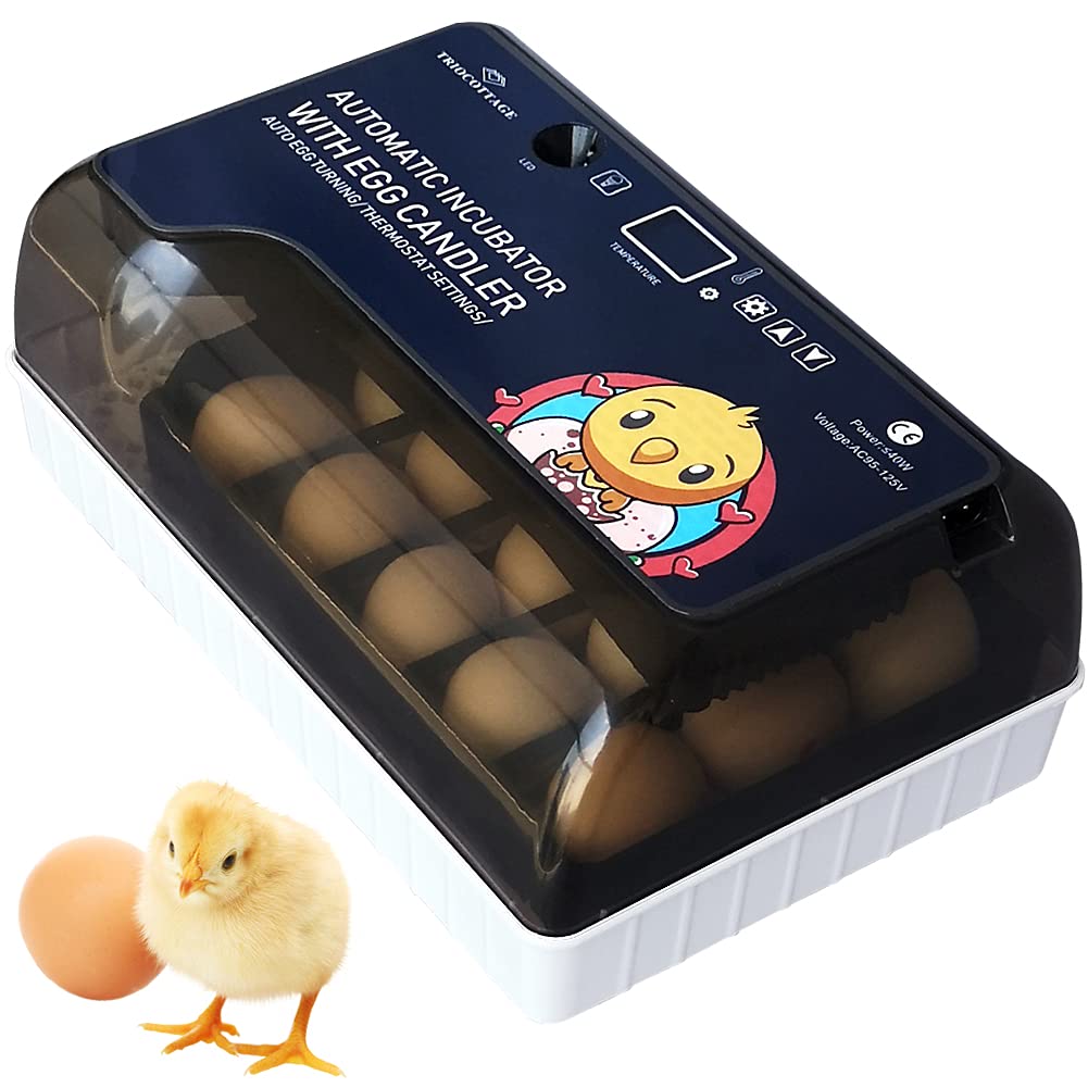 Egg Incubator, Small Automatic Incubator with Digital Temperature Humidity C736