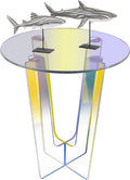 Acrylic Side Table with Storage Shelf Y799