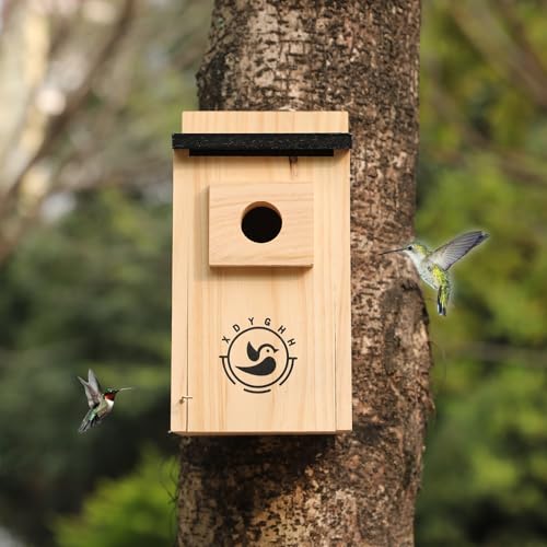 2 Pack Bird Houses D642