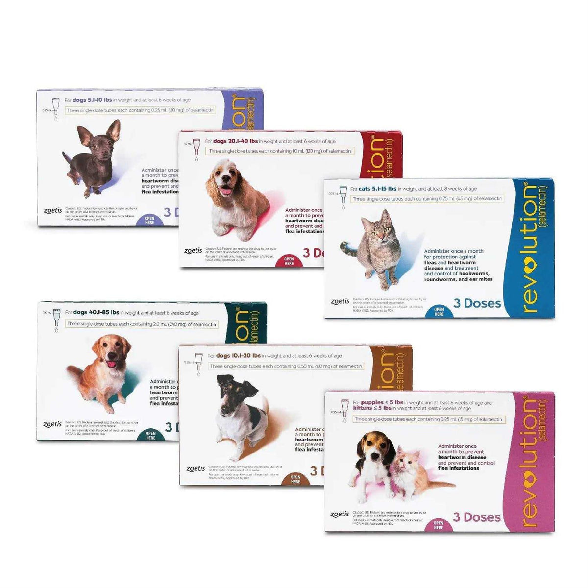 Revolution for Puppies & Kittens D21831