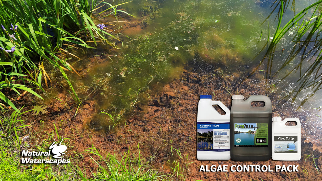 Algae Control Package B93516