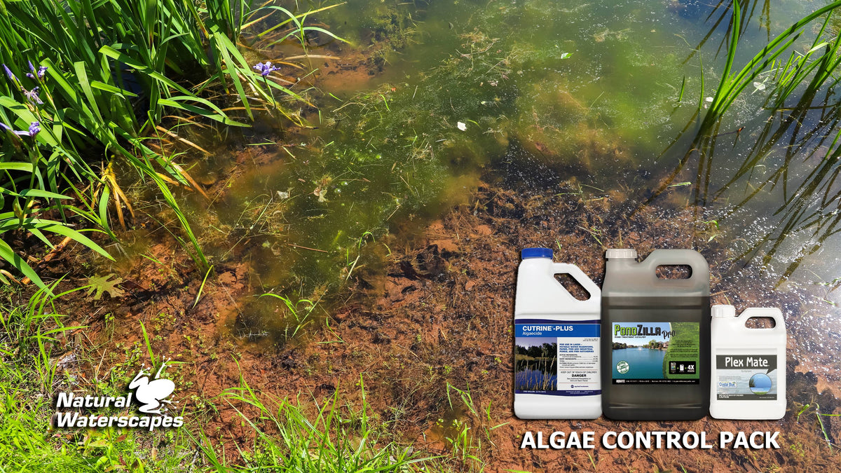Algae Control Package B93516