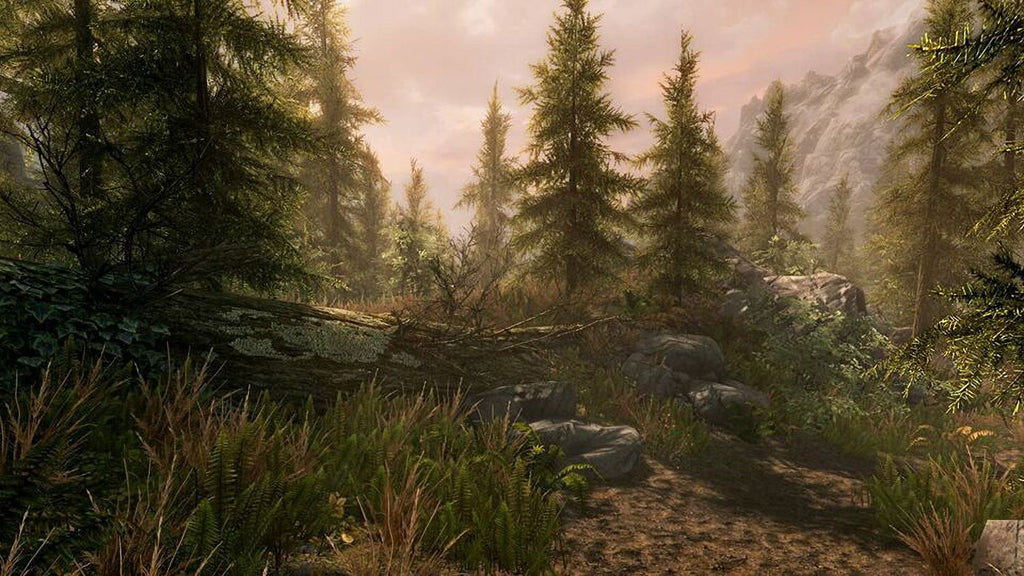 The Elder Scrolls V Skyrim Special Xbox One J721