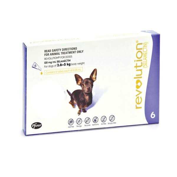 Revolution for Puppies & Kittens D21831