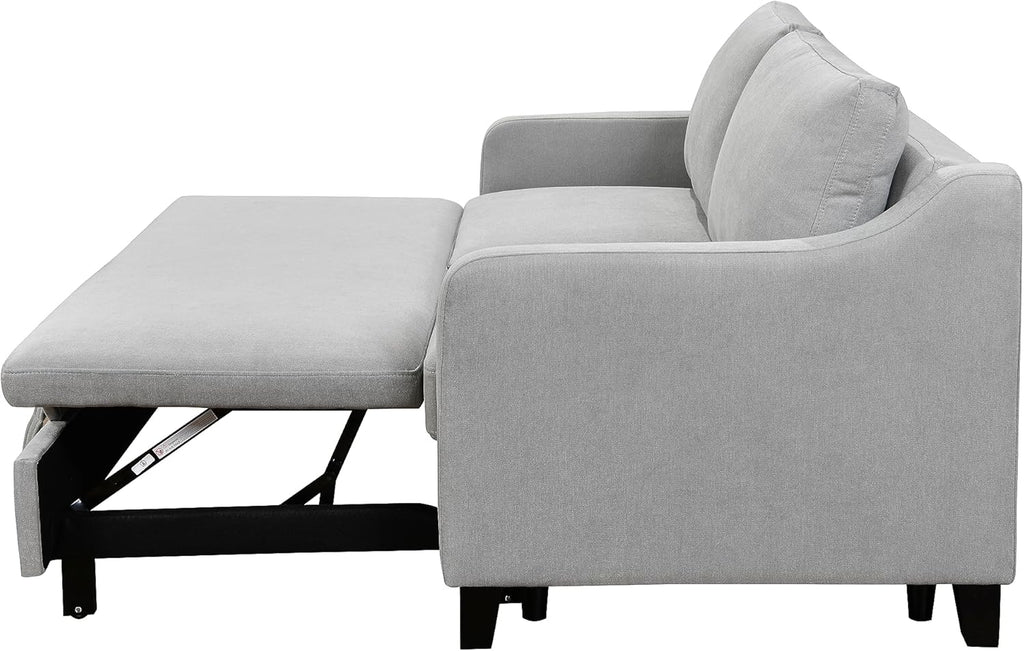 Light Gray Queen Sleeper Sofa Bed with Pullout Bed M245014