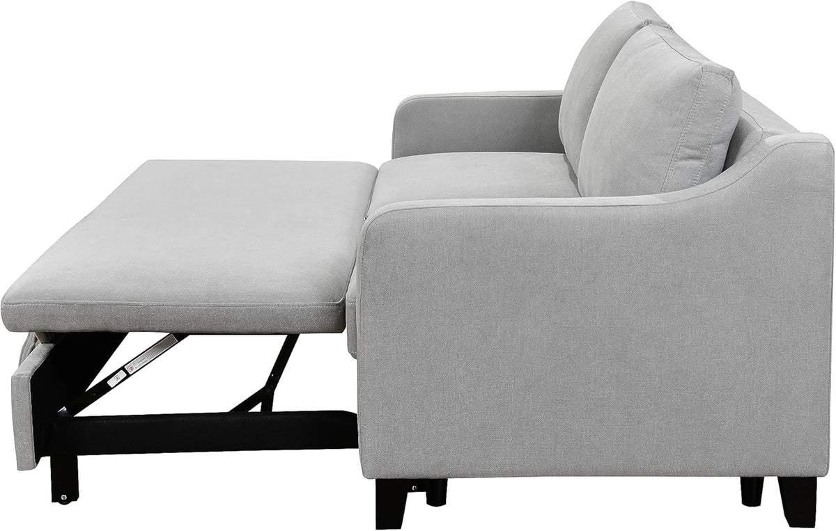 Light Gray Queen Sleeper Sofa Bed with Pullout Bed M245014