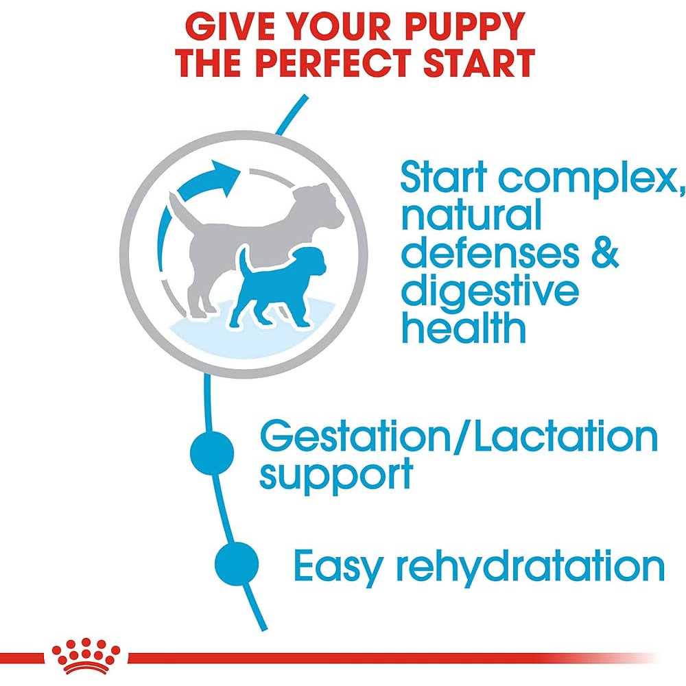 Small Starter Dry Dog Food L42816