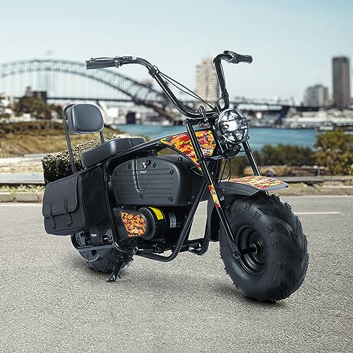 36V 1000W Electric Dirt Bike, 2-Speed Off-Road Motorcycle, Dark Red E141
