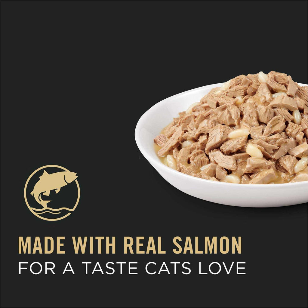 Adult Cat Food Salmon & Rice Entree in Sauce G677957