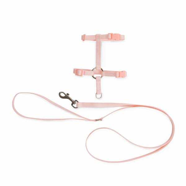 Kitten Harness & Leash Set T93939