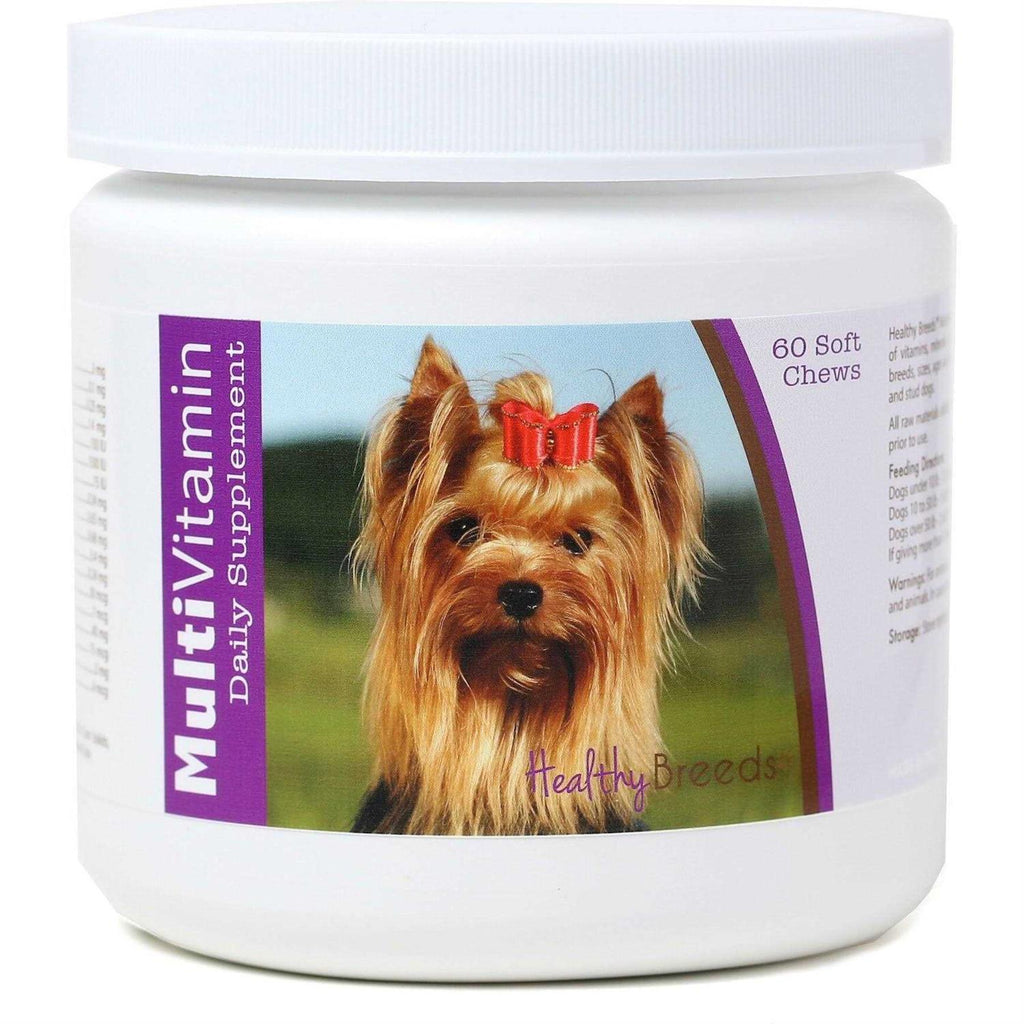 Terrier Multi-Vitamin Soft Chews W297372