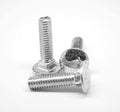 Coarse Thread Carriage Bolt Stainless Steel 18-8 Pk 200 T1761