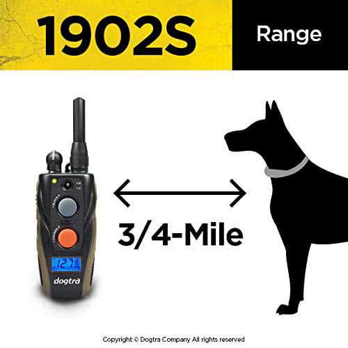 Remote Training Collar N96851