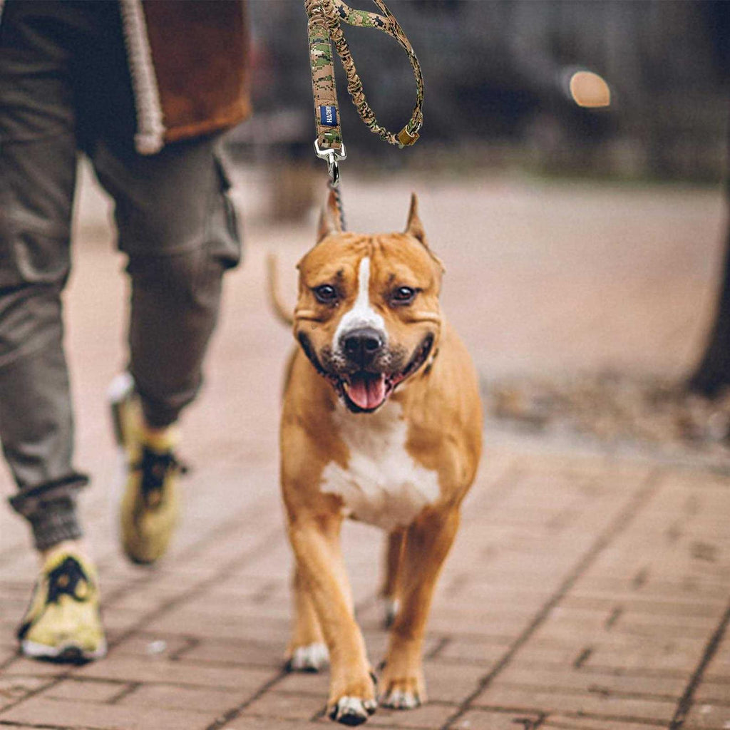 Heavy Duty Bungee Dog Leash S469