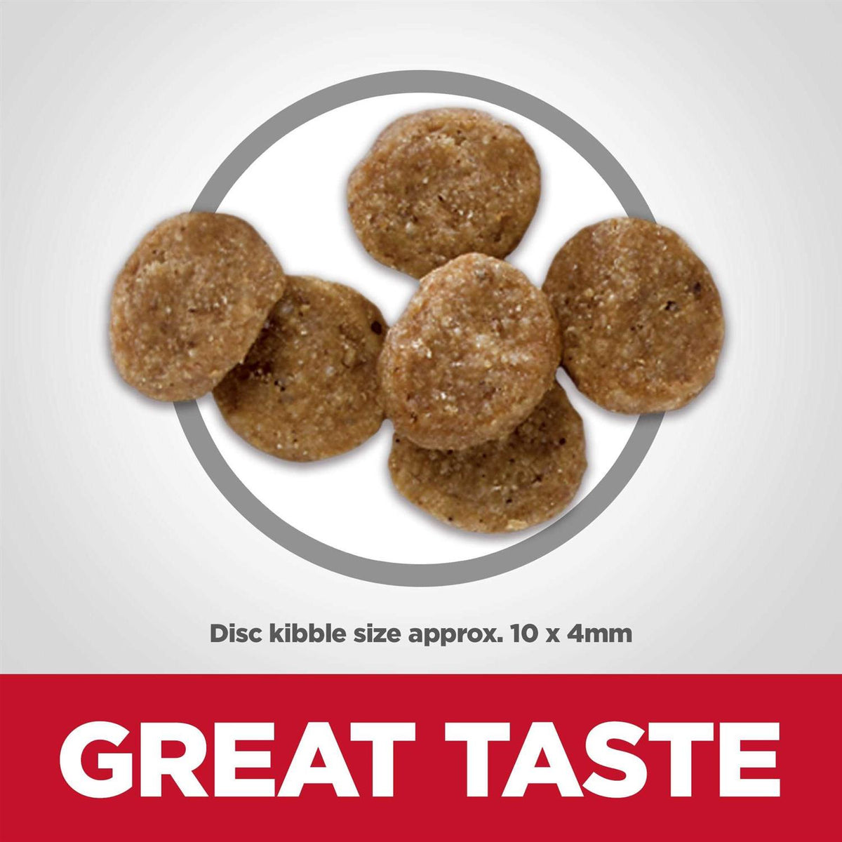 Dry Dog Food L1221