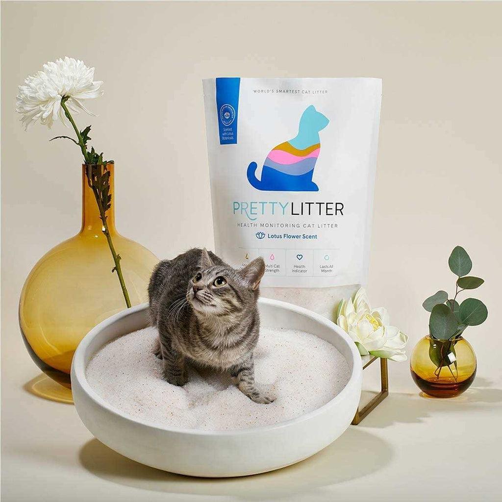 Health Monitoring Cat Litter M501