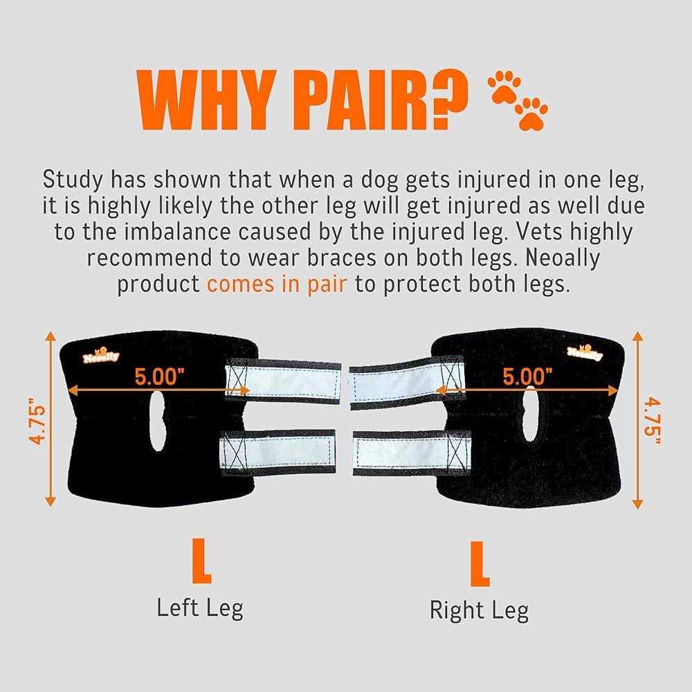 Dog Rear Leg Hock Ankle Support with Reflective Straps E140384