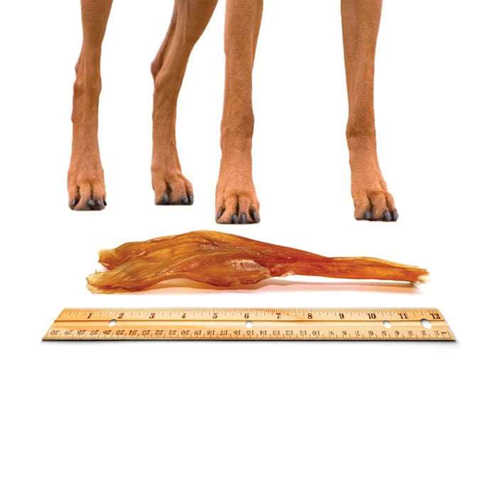 Beef Tendon Dog Chews Y600718