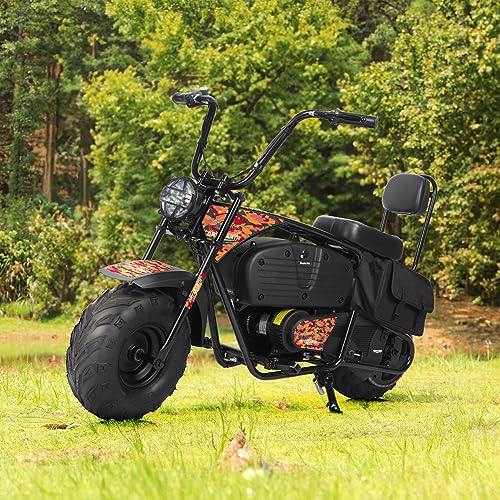 36V 1000W Electric Dirt Bike, 2-Speed Off-Road Motorcycle, Dark Red E141