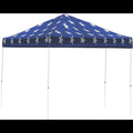 10 ft x 10 ft Straight Leg Pop-Up Canopy A56533