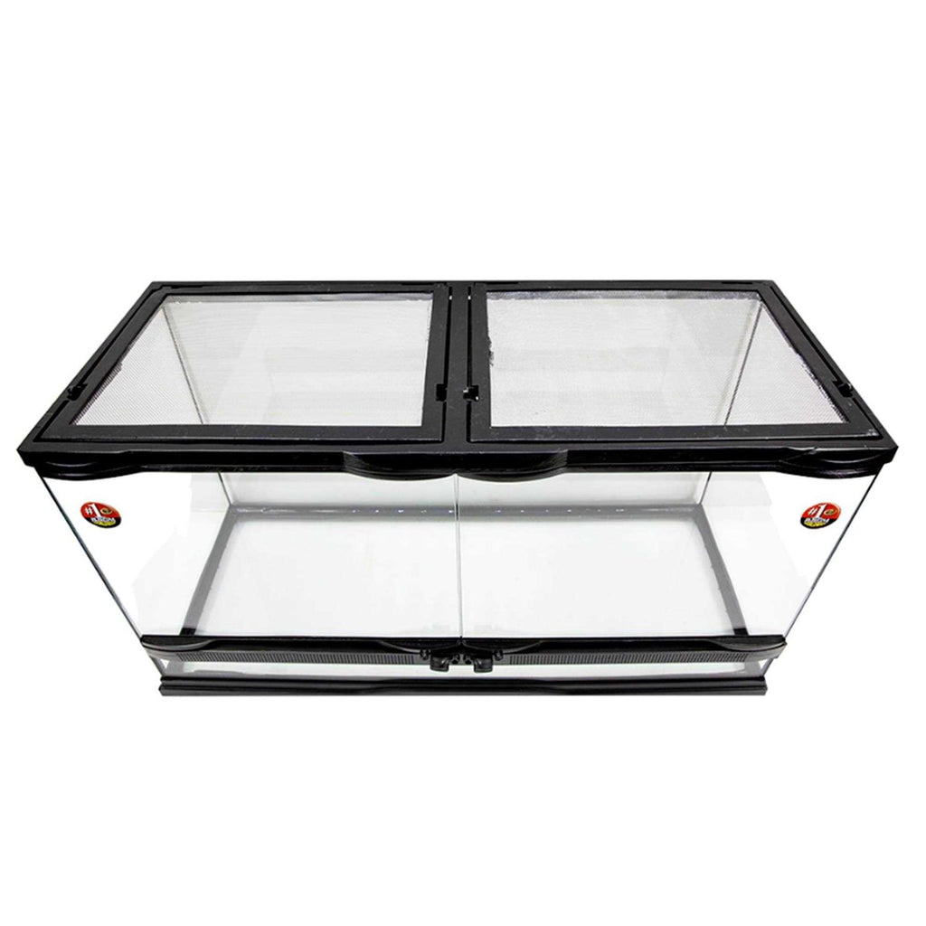 Naturalistic Terrarium Q947