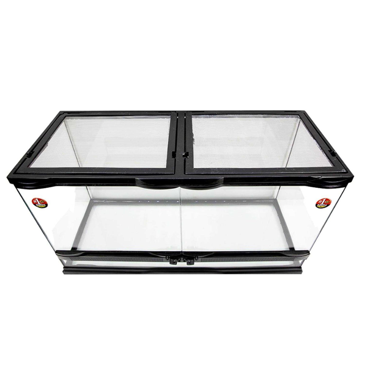 Naturalistic Terrarium Q947