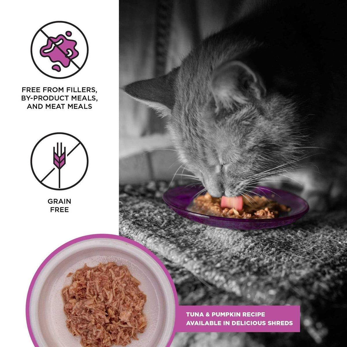 Tuna Recipe Cat Food T26224