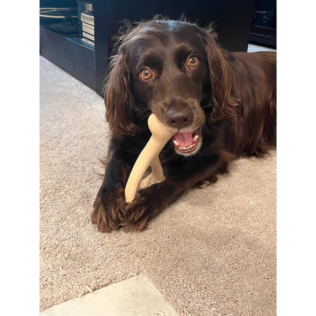 Tough Dog Chew Beef L78854