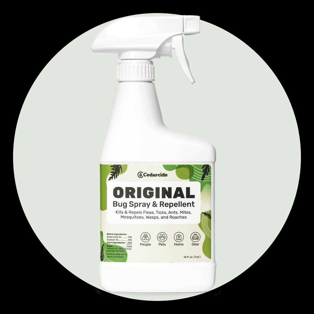 Bug Spray & Repellent J817