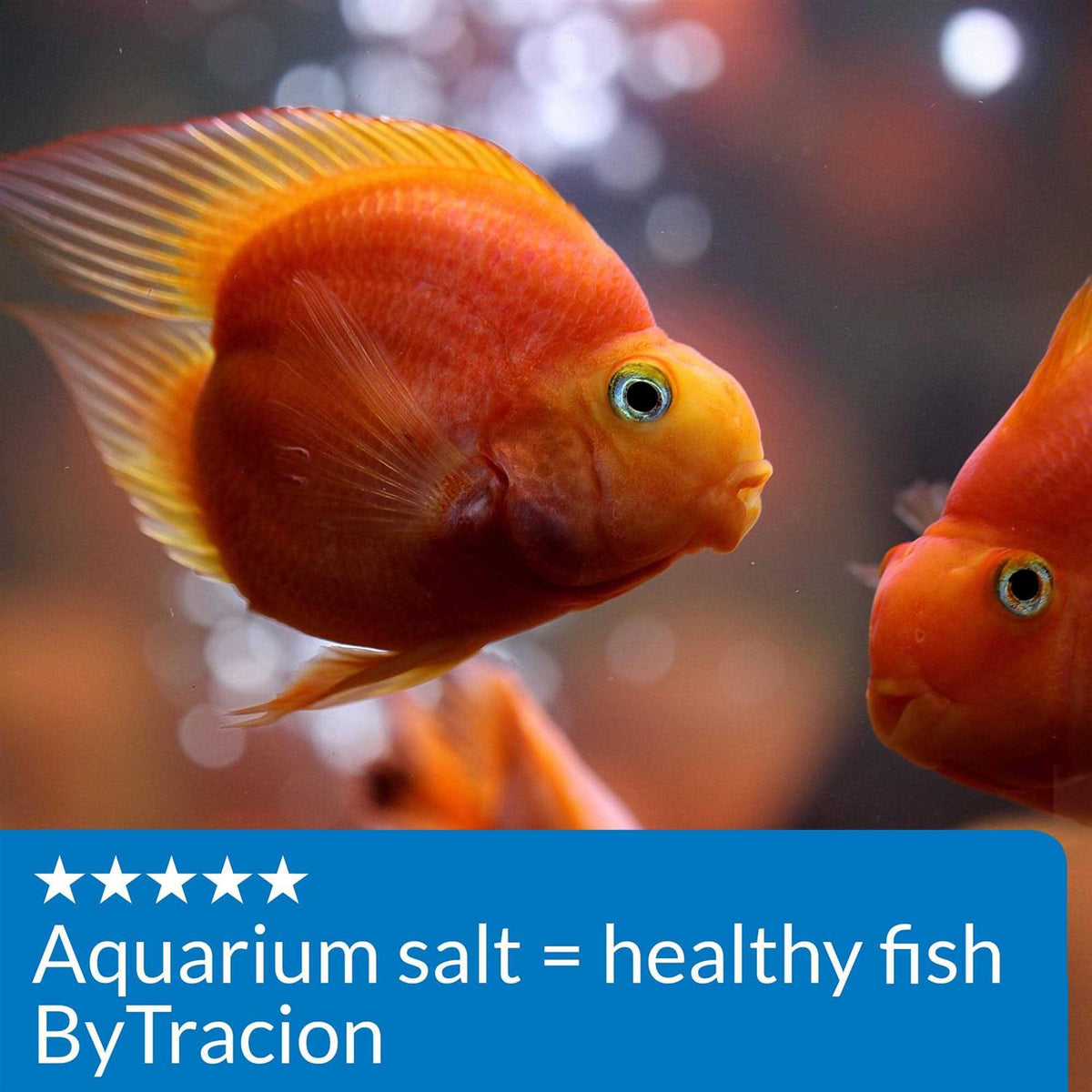 Aquarium Salt H5852